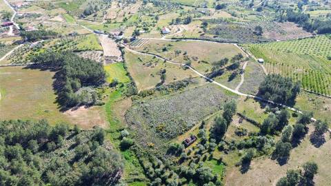 Terreno Rústico para venda com cerca de 19 200 metros na aldeia do Catrão, Vale Prazeres, Fundão