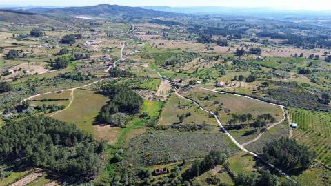Terreno Rústico para venda com cerca de 19 200 metros na aldeia do Catrão, Vale Prazeres, Fundão