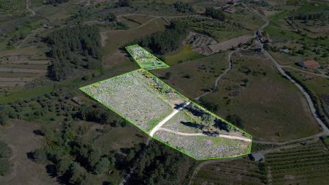 Terreno Rústico para venda com cerca de 19 200 metros na aldeia do Catrão, Vale Prazeres, Fundão