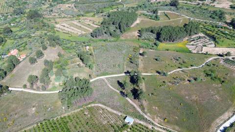 Terreno Rústico para venda com cerca de 19 200 metros na aldeia do Catrão, Vale Prazeres, Fundão