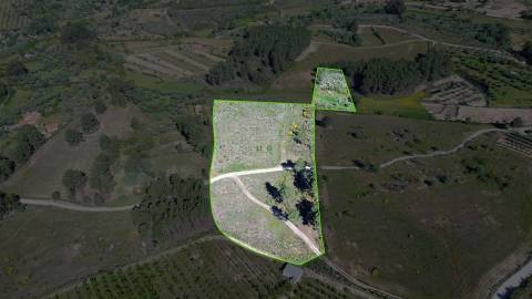 Terreno Rústico para venda com cerca de 19 200 metros na aldeia do Catrão, Vale Prazeres, Fundão