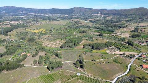 Terreno Rústico para venda com cerca de 19 200 metros na aldeia do Catrão, Vale Prazeres, Fundão