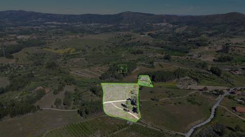 Terreno Rústico para venda com cerca de 19 200 metros na aldeia do Catrão, Vale Prazeres, Fundão