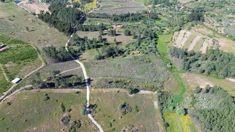 Terreno Rústico para venda com cerca de 19 200 metros na aldeia do Catrão, Vale Prazeres, Fundão