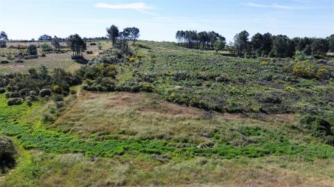 Terreno Rústico para venda com cerca de 19 200 metros na aldeia do Catrão, Vale Prazeres, Fundão