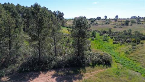 Terreno Rústico para venda com cerca de 19 200 metros na aldeia do Catrão, Vale Prazeres, Fundão