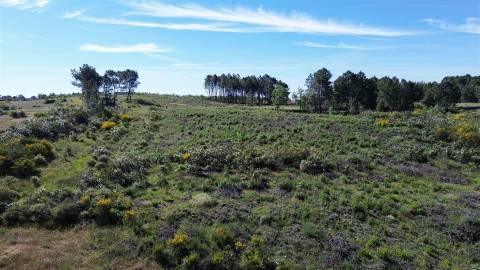 Terreno Rústico para venda com cerca de 19 200 metros na aldeia do Catrão, Vale Prazeres, Fundão