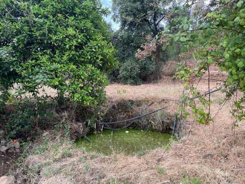 Terreno Rústico para venda com cerca de 7 500 metros na aldeia de Alvaiade, Vila Velha de Ródão