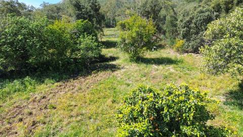 Terreno Rústico para venda com cerca de 7 500 metros na aldeia de Alvaiade, Vila Velha de Ródão