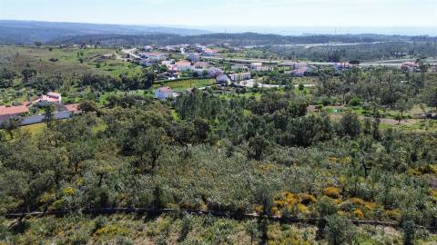 Terreno Rústico para venda com cerca de 7 500 metros na aldeia de Alvaiade, Vila Velha de Ródão