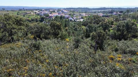 Terreno Rústico para venda com cerca de 7 500 metros na aldeia de Alvaiade, Vila Velha de Ródão