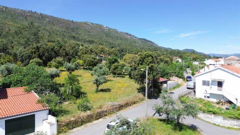 Terreno Rústico para venda com cerca de 7 500 metros na aldeia de Alvaiade, Vila Velha de Ródão