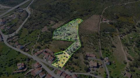 Terreno Rústico para venda com cerca de 7 500 metros na aldeia de Alvaiade, Vila Velha de Ródão