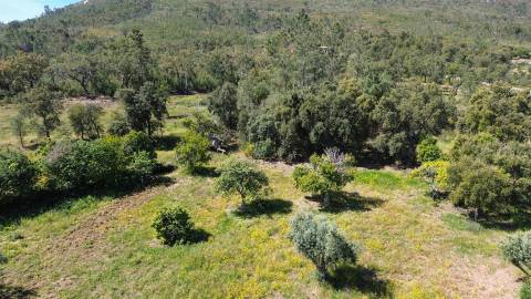 Terreno Rústico para venda com cerca de 7 500 metros na aldeia de Alvaiade, Vila Velha de Ródão