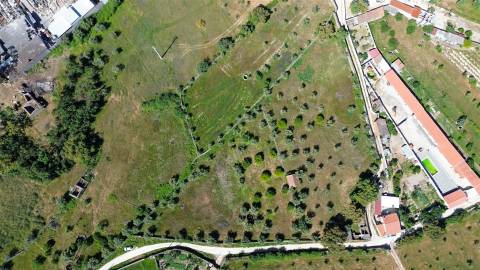 Quinta com 9250m2, localizado em Alcains.
