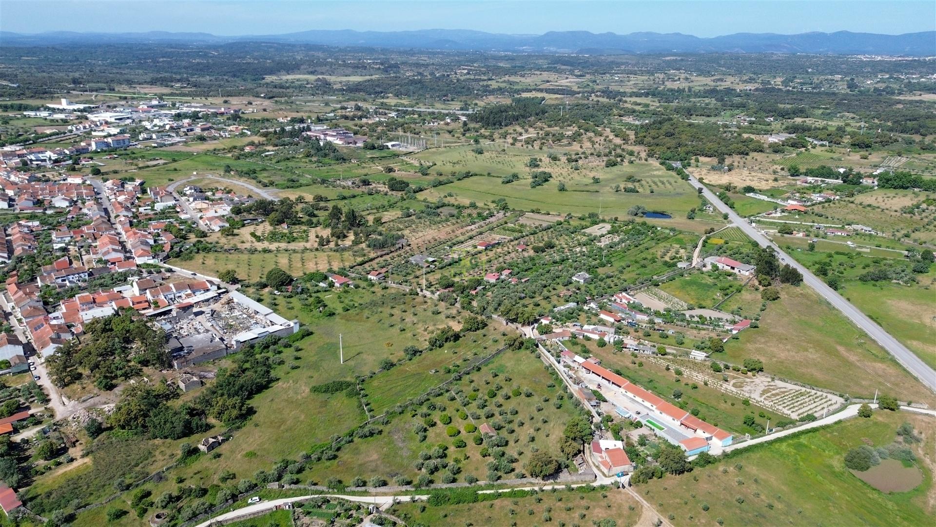 Quinta com 9250m2, localizado em Alcains.