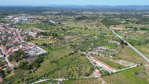 Quinta com 9250m2, localizado em Alcains.