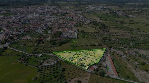 Quinta com 9250m2, localizado em Alcains.