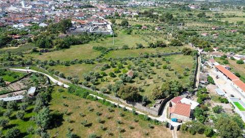 Quinta com 9250m2, localizado em Alcains.