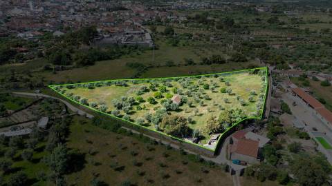Quinta com 9250m2, localizado em Alcains.