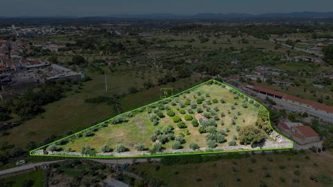 Quinta com 9250m2, localizado em Alcains.