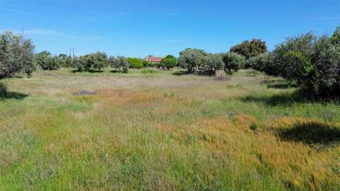 Quinta com 9250m2, localizado em Alcains.