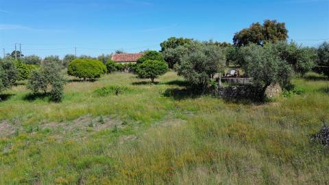 Quinta com 9250m2, localizado em Alcains.