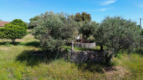 Quinta com 9250m2, localizado em Alcains.
