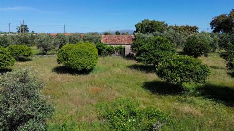 Quinta com 9250m2, localizado em Alcains.