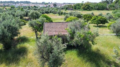 Quinta com 9250m2, localizado em Alcains.