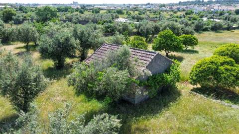 Quinta com 9250m2, localizado em Alcains.