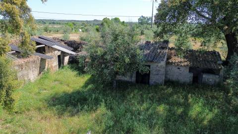 Quinta com 9250m2, localizado em Alcains.