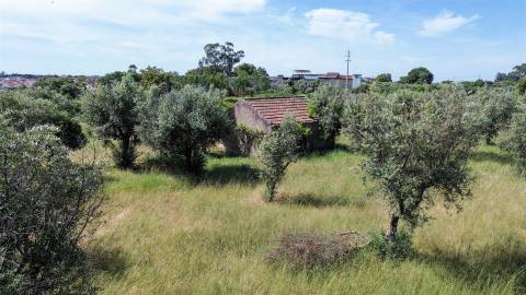 Quinta com 9250m2, localizado em Alcains.