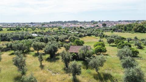 Quinta com 9250m2, localizado em Alcains.