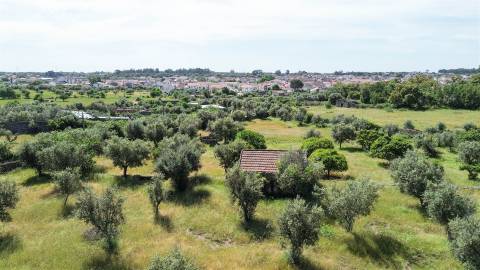 Quinta com 9250m2, localizado em Alcains.