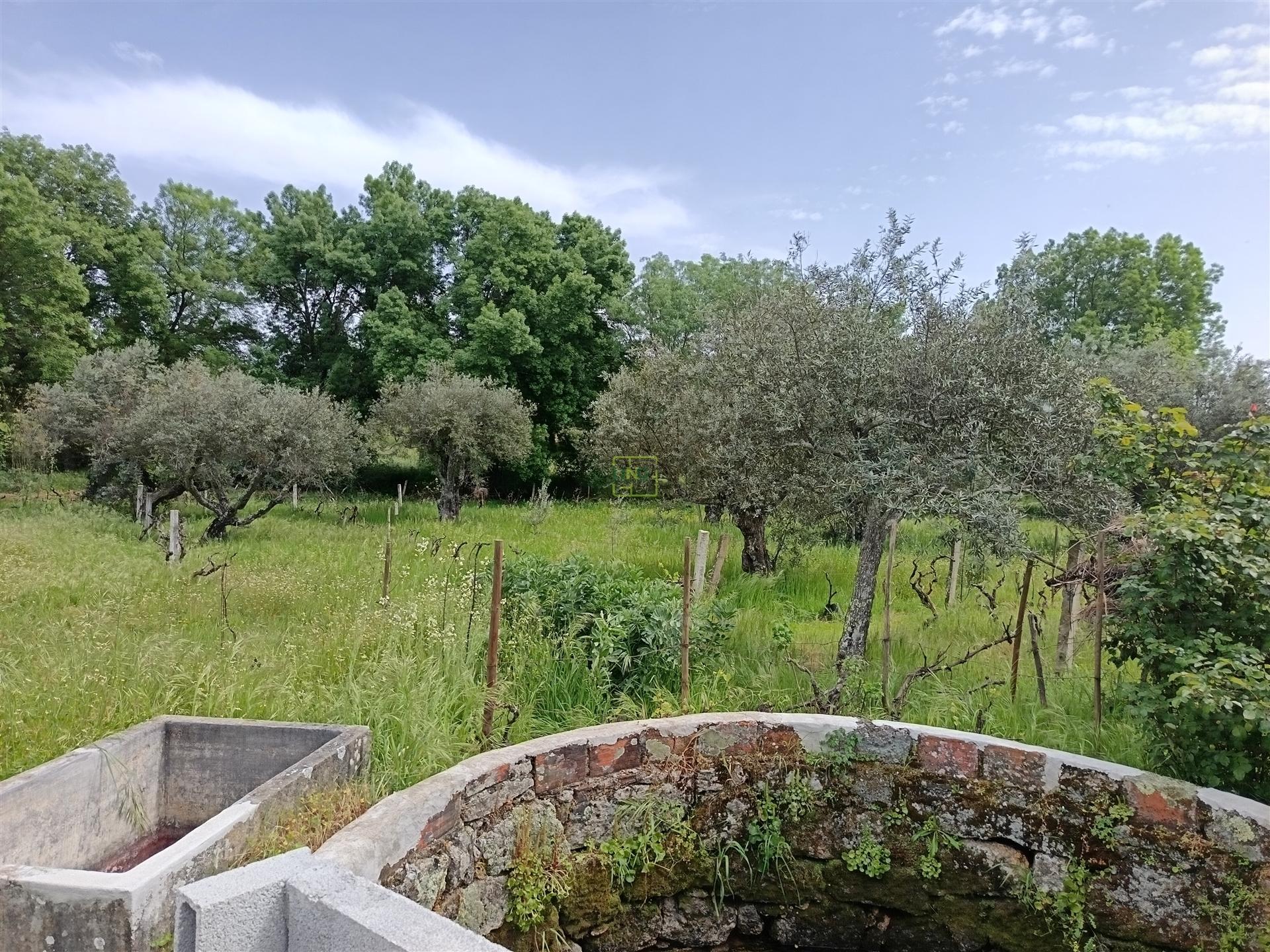 terreno rústico em Aldeia de João Pires