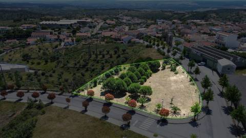 Terreno  Venda em Cebolais de Cima e Retaxo,Castelo Branco
