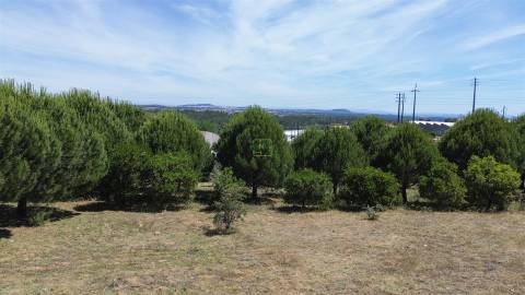 Terreno  Venda em Cebolais de Cima e Retaxo,Castelo Branco