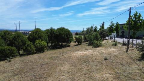 Terreno  Venda em Cebolais de Cima e Retaxo,Castelo Branco