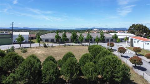 Terreno  Venda em Cebolais de Cima e Retaxo,Castelo Branco