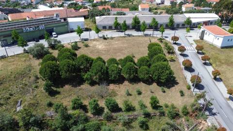 Terreno  Venda em Cebolais de Cima e Retaxo,Castelo Branco