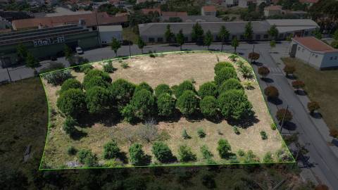 Terreno  Venda em Cebolais de Cima e Retaxo,Castelo Branco