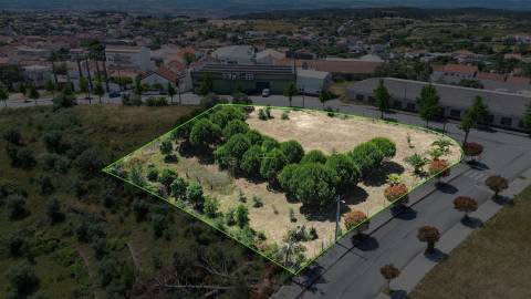 Terreno  Venda em Cebolais de Cima e Retaxo,Castelo Branco