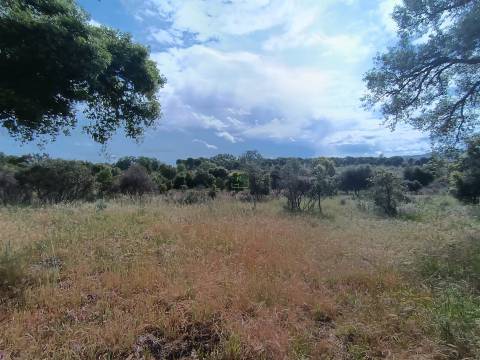 Terreno Rústico  Venda em Aldeia do Bispo, Águas e Aldeia de João Pires,Penamacor
