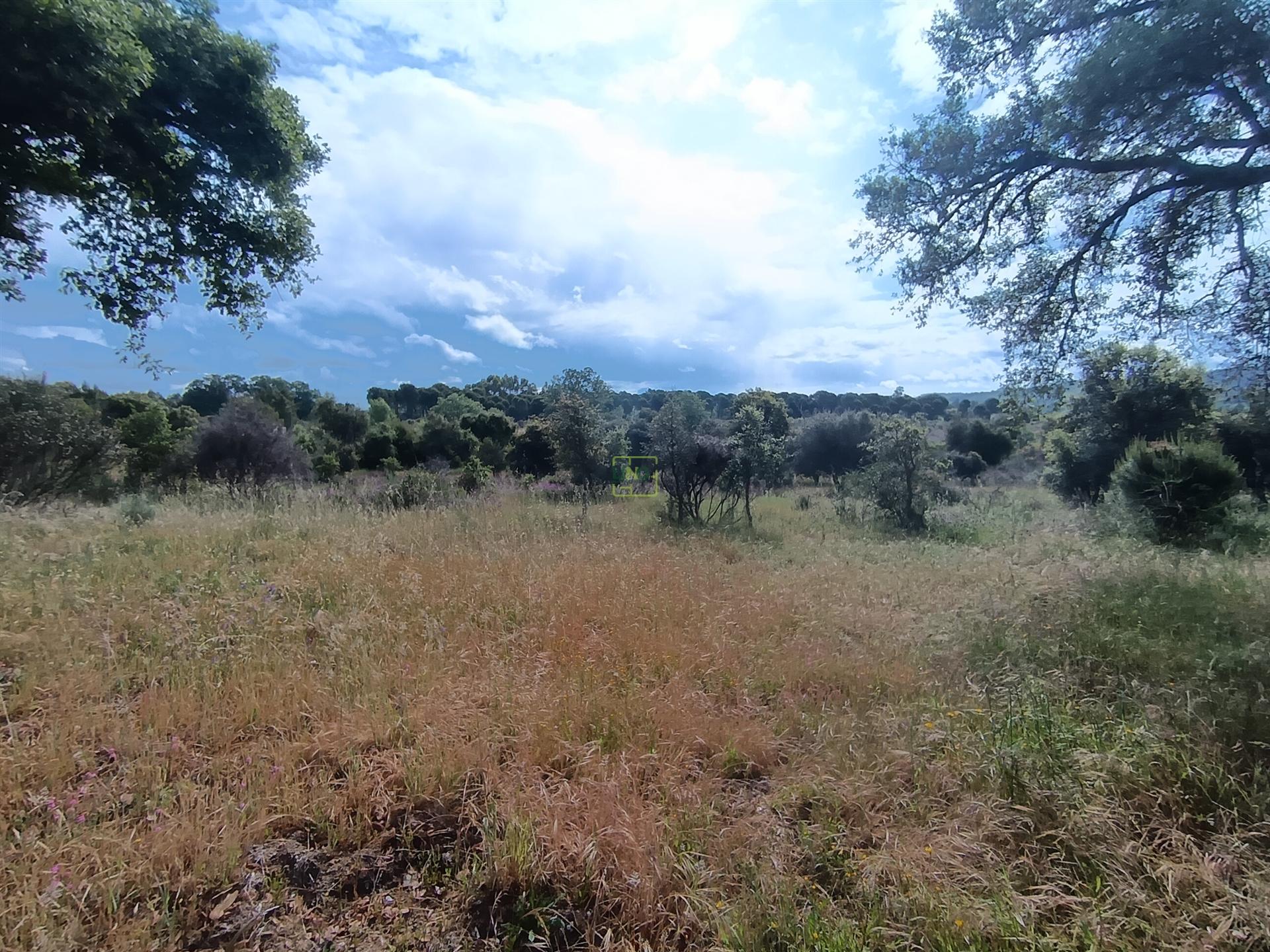 Terreno Rústico  Venda em Aldeia do Bispo, Águas e Aldeia de João Pires,Penamacor