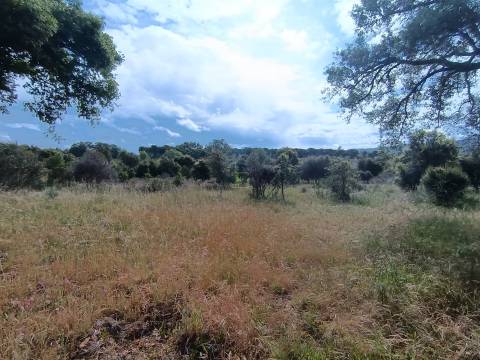 Terreno Rústico  Venda em Aldeia do Bispo, Águas e Aldeia de João Pires,Penamacor