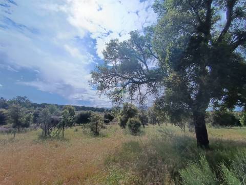 Terreno Rústico  Venda em Aldeia do Bispo, Águas e Aldeia de João Pires,Penamacor