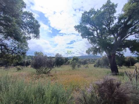 Terreno Rústico  Venda em Aldeia do Bispo, Águas e Aldeia de João Pires,Penamacor