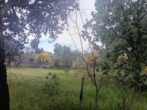 Terreno Rústico  Venda em Aldeia do Bispo, Águas e Aldeia de João Pires,Penamacor