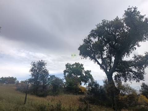 Terreno Rústico  Venda em Aldeia do Bispo, Águas e Aldeia de João Pires,Penamacor